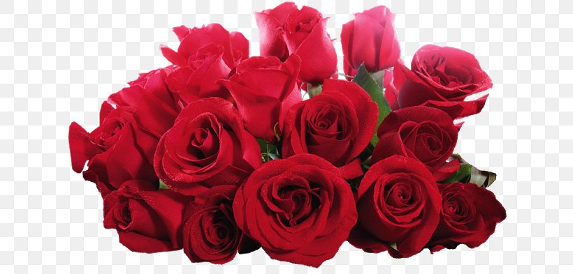 Desktop Wallpaper Rose Flower Stock Photography, PNG, 640x393px, Rose, Artificial Flower, Botany, Bud, Cut Flowers Download Free