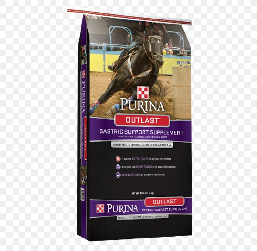 Horse Outlast Purina Mills Nestlé Purina PetCare Company Equine Nutrition, PNG, 800x800px, Horse, Advertising, Animal Feed, Dietary Supplement, Equestrian Download Free