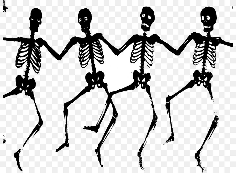Human Skeleton Bone Danse Macabre Death, PNG, 800x600px, Human Skeleton, Anatomy, Arm, Black And White, Bone Download Free
