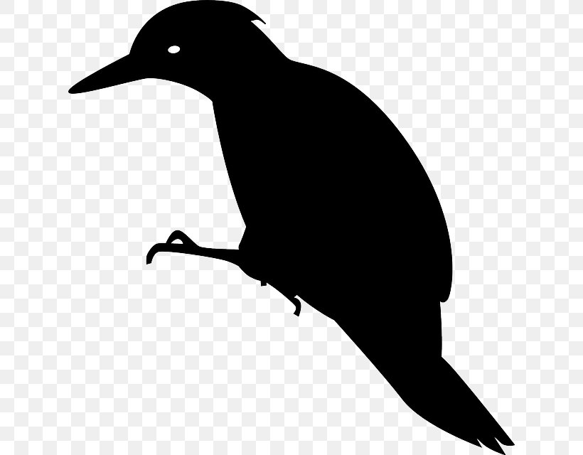 Woodpecker Bird Clip Art, PNG, 628x640px, Woodpecker, Beak, Bird, Black And White, Drawing Download Free