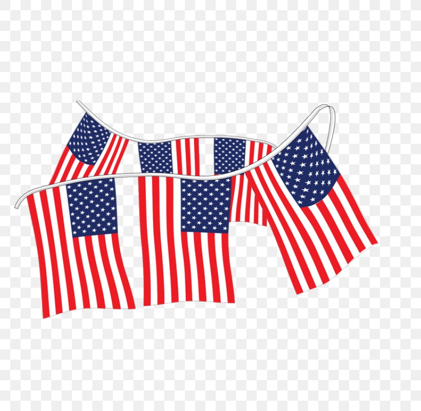Flag Of The United States Pennon Bunting, PNG, 800x800px, United States, Annin Co, Banner, Blue, Bunting Download Free