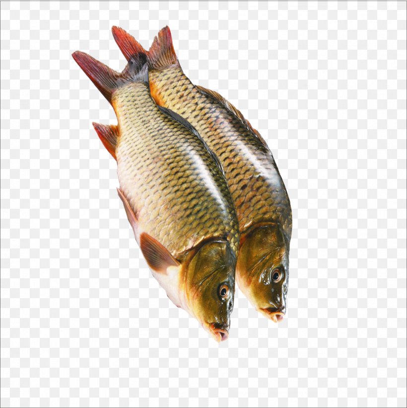 Kipper Sashimi Crudo Fish, PNG, 1773x1776px, Kipper, Animal Source Foods, Carp, Common Rudd, Crudo Download Free