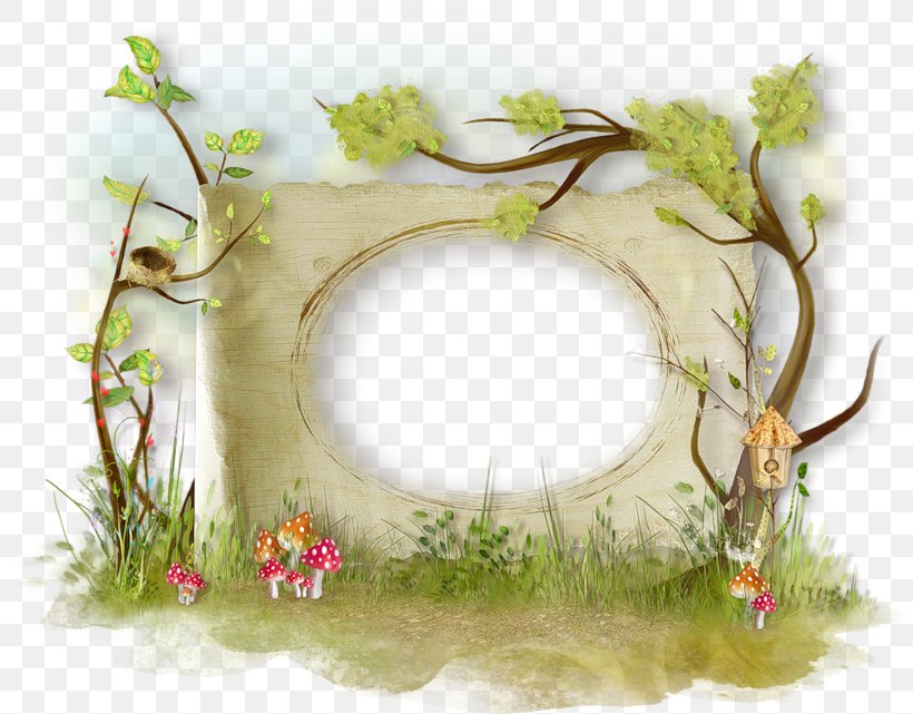 Picture Frames Clip Art, PNG, 800x641px, Picture Frames, Branch, Flora, Floral Design, Google Bookmarks Download Free