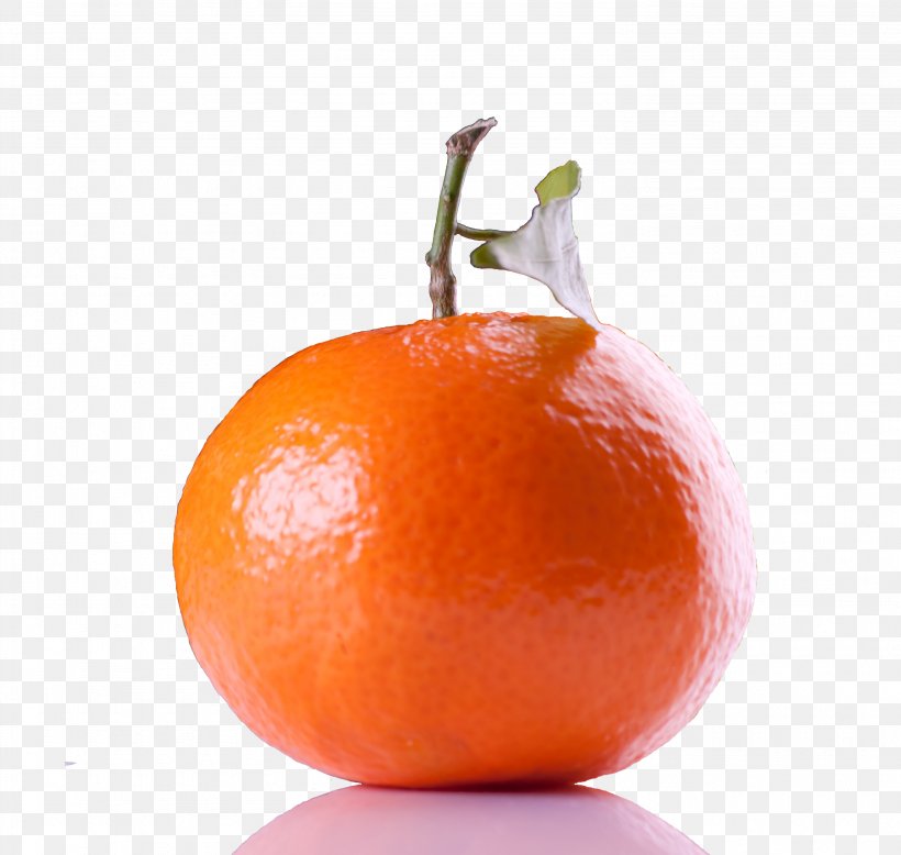 Orange Juice Mandarin Orange Tangelo Clementine Tangerine, PNG, 2968x2816px, Orange Juice, Bitter Orange, Blood Orange, Citrus, Clementine Download Free