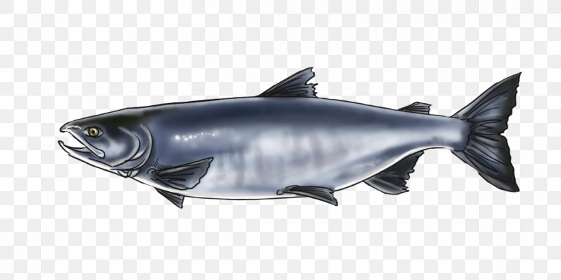 Salmon Alaska Squaliformes Wildlife Marine Biology, PNG, 1200x600px, Salmon, Alaska, Animal, Art, Art Blog Download Free