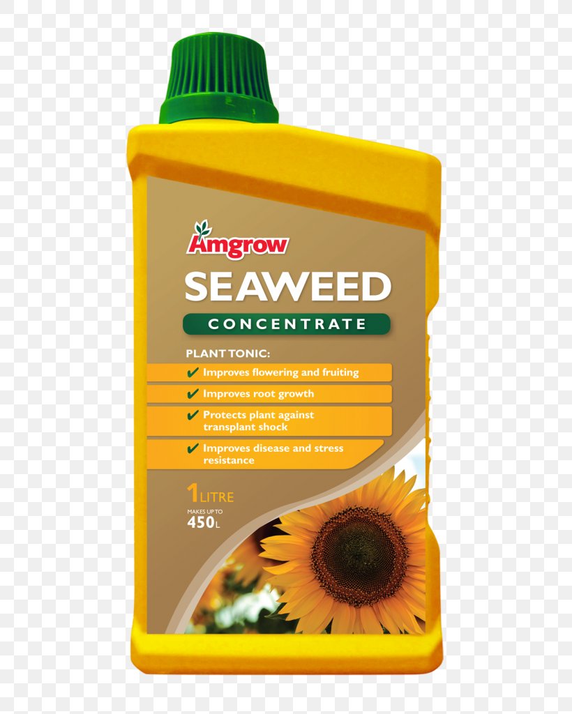 Seaweed Fertilisers Liquid Bullwhip Kelp, PNG, 638x1024px, Seaweed, Acid, Fertilisers, Garden, Harvest Download Free