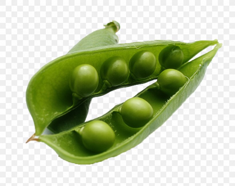 Snow Pea Vegetable Food Seed, PNG, 1024x812px, Snow Pea, Bean, Commodity, Edamame, Food Download Free