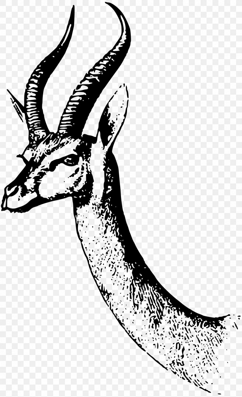 Gazelle Antelope Drawing Clip Art, PNG, 1466x2400px, Gazelle, Animal, Antelope, Antler, Black And White Download Free