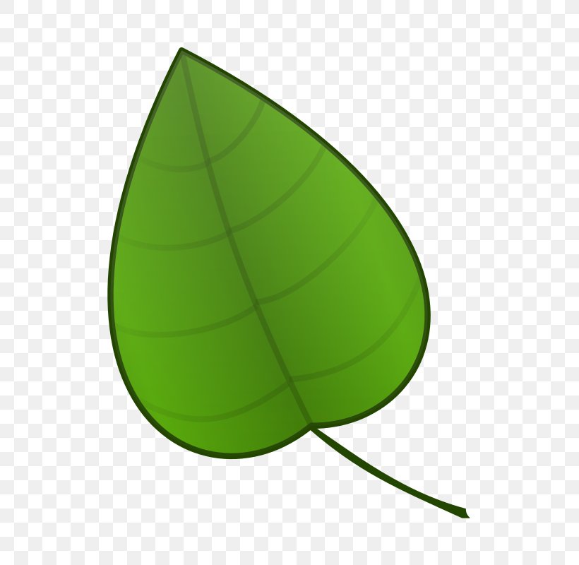 Maple Leaf Free Content Clip Art, PNG, 637x800px, Leaf, Autumn Leaf Color, Blog, Free Content, Green Download Free