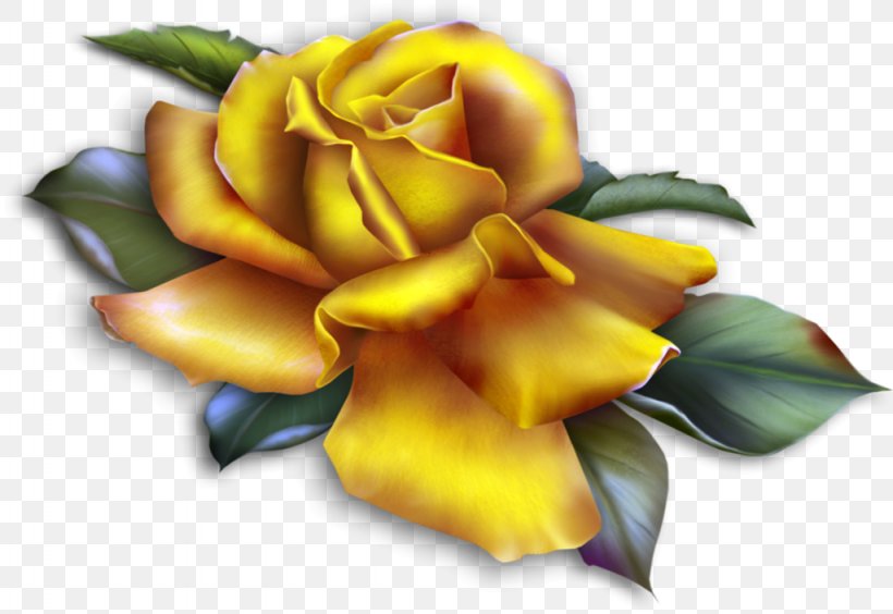 Rose Yellow Clip Art, PNG, 1024x705px, Rose, Cut Flowers, Floral Design, Floristry, Flower Download Free