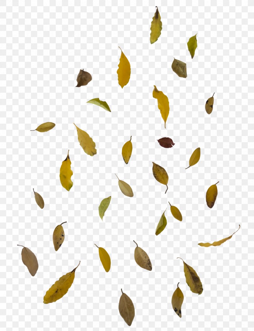 Autumn Leaf Color Clip Art, PNG, 1224x1600px, Leaf, Autumn Leaf Color, Bit, Branch, Commodity Download Free