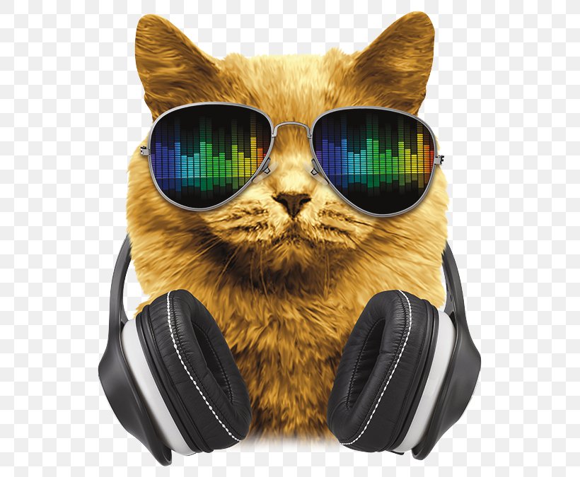 Axent Wear Cat Ear Headphones Denon Whiskers, PNG, 675x675px, Headphones, Axent Wear Cat Ear Headphones, Bose Corporation, Bose Soundtrue Aroundear Ii, Case Download Free
