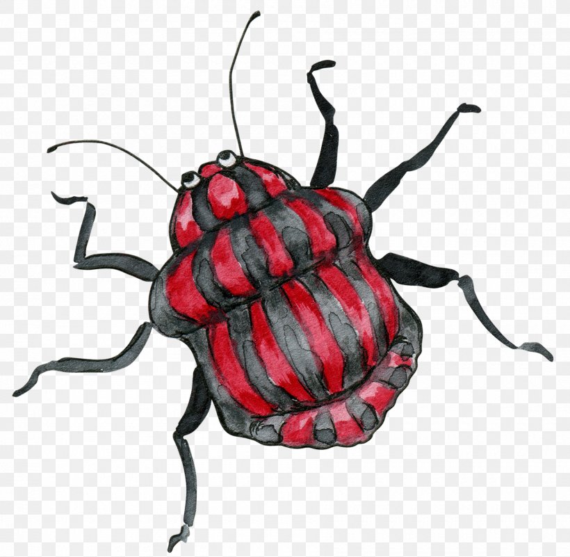 Beetle Cartoon Illustration, PNG, 1800x1759px, Beetle, Arthropod, Cartoon, Drawing, Insect Download Free