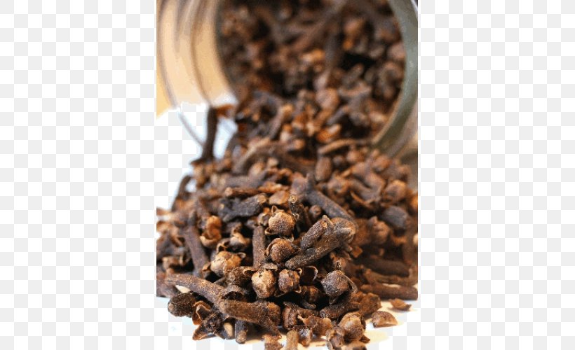 Oil Of Clove Spice Herb Medicinal Plants, PNG, 500x500px, Clove, Allspice, Carrier Oil, Cinnamon, Essential Oil Download Free