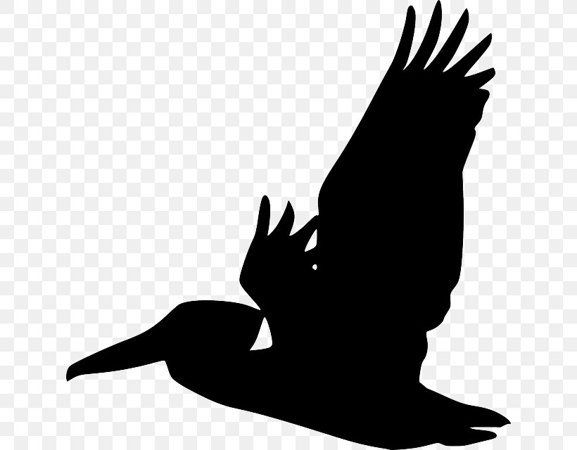 Pelican Bird Silhouette Clip Art, PNG, 632x640px, Pelican, Beak, Bird, Bird Flight, Bird Of Prey Download Free