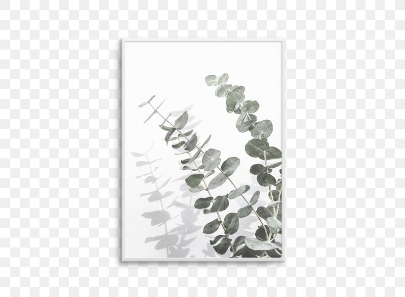Poster Printmaking Art Eucalyptus Cinerea, PNG, 476x600px, Poster, Arecaceae, Art, Eucalyptus Cinerea, Gum Trees Download Free