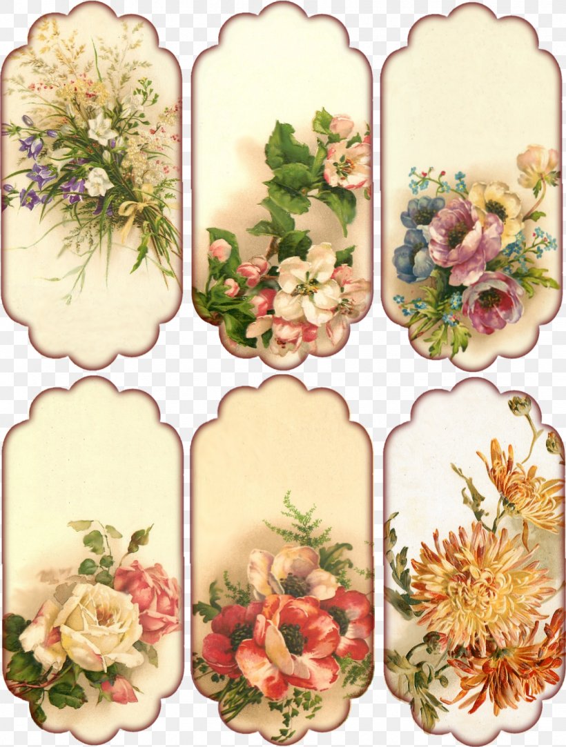Pressed Flower Craft Floral Design Vintage Clothing Paper, PNG, 1131x1495px, Flower, Art, Border Flowers, Clothing, Collage Download Free