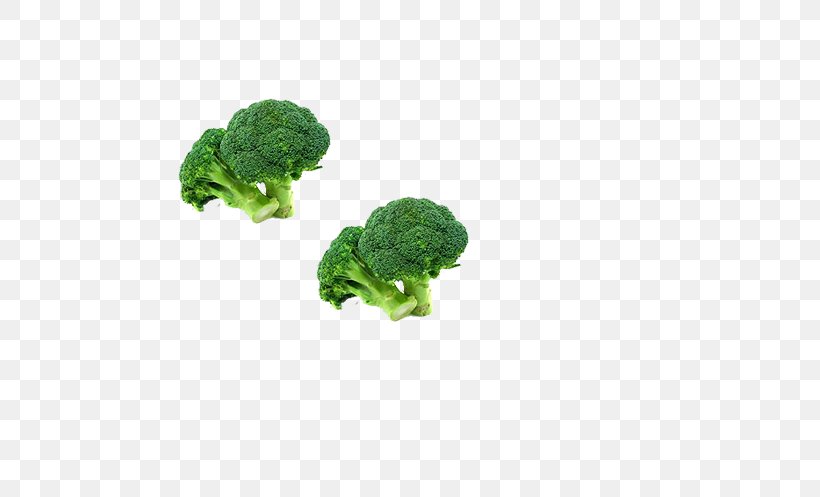 Broccoli Vegetable Icon, PNG, 750x497px, Broccoli, Cauliflower, Chou, Fruit, Grass Download Free