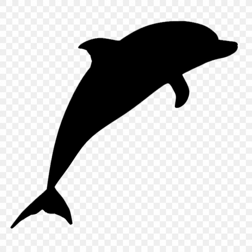 Common Bottlenose Dolphin Short-beaked Common Dolphin Tucuxi Spinner Dolphin Striped Dolphin, PNG, 1024x1024px, Common Bottlenose Dolphin, Bottlenose Dolphin, Cetacea, Cetaceans, Common Dolphins Download Free