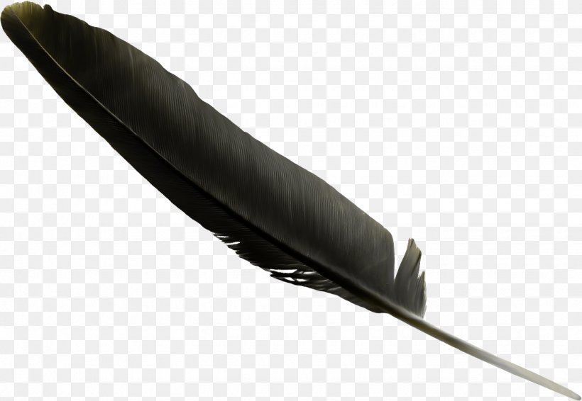 Feather Black Clip Art, PNG, 1330x919px, Feather, Black, Blade, Blood, Highdefinition Television Download Free