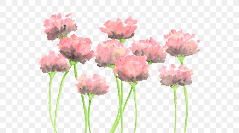 Watercolour Flowers Watercolor: Flowers Watercolor Painting Pink Flowers, PNG, 570x456px, Watercolour Flowers, Abstract Art, Annual Plant, Art, Artificial Flower Download Free