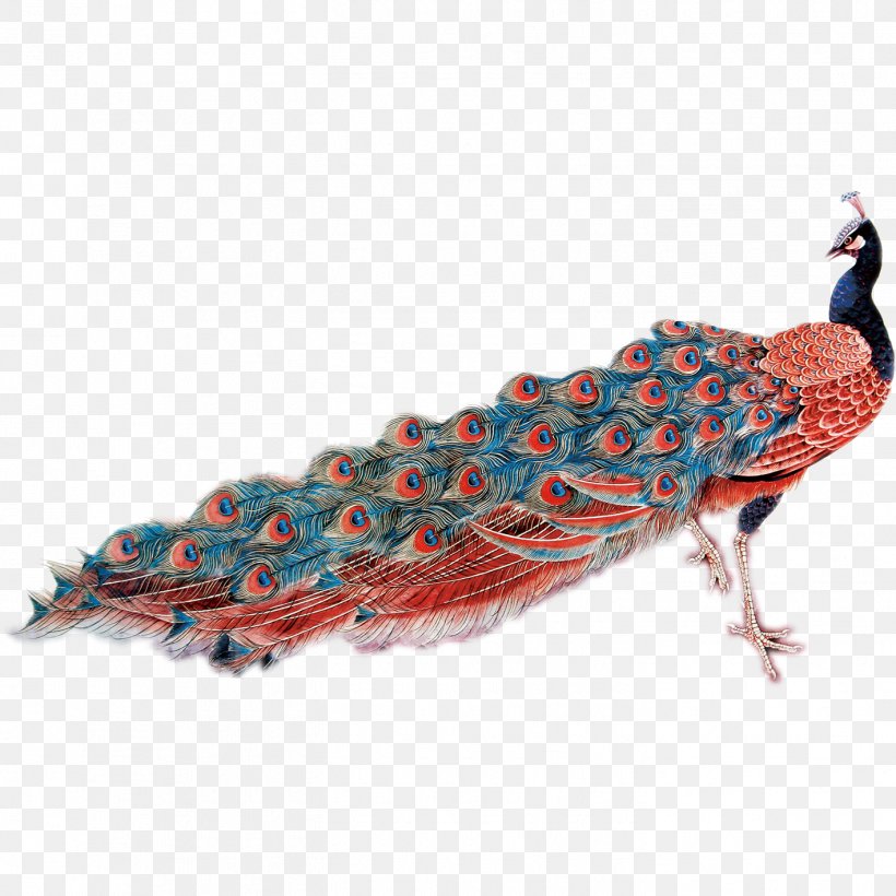 Feather Peafowl, PNG, 1417x1417px, Feather, Animal, Beak, Bird, Galliformes Download Free