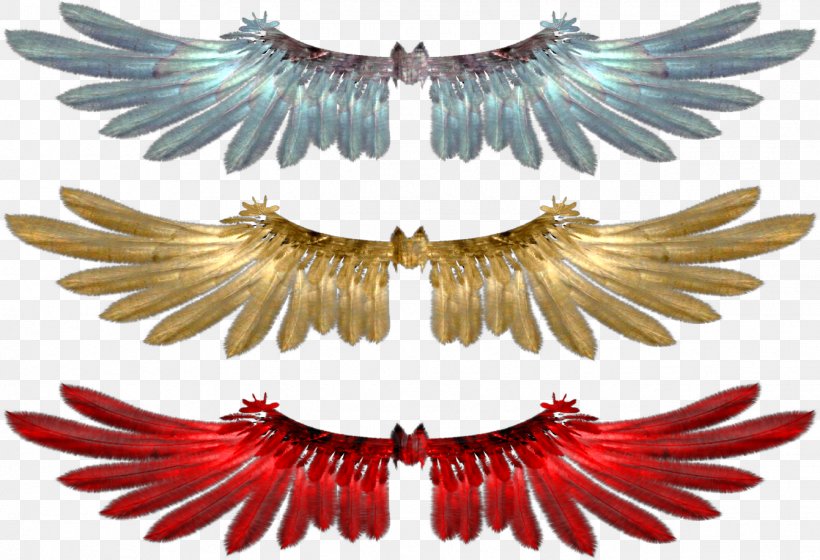 Flight Graphic Design Wing, PNG, 1341x916px, Flight, Color, Community, Eyelash, Image Resolution Download Free