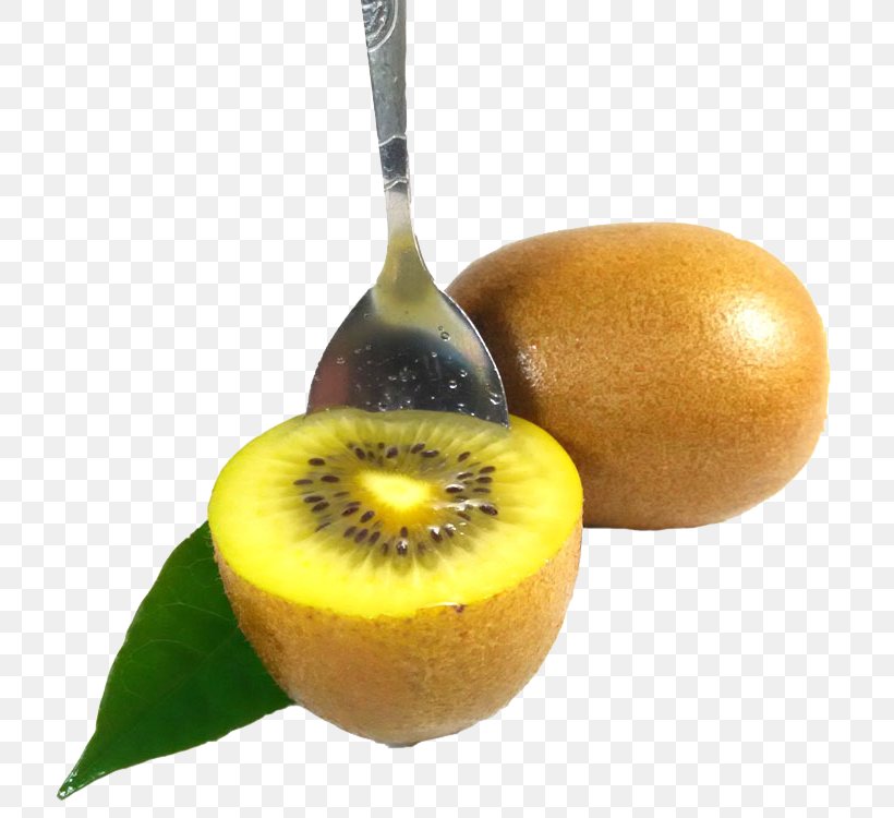 Kiwifruit Icon, PNG, 750x750px, Kiwifruit, Food, Fruit, Leaf, Superfood Download Free