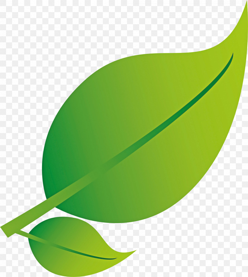 Leaf Green Logo Plant, PNG, 2000x2236px, Leaf, Green, Logo, Plant Download Free