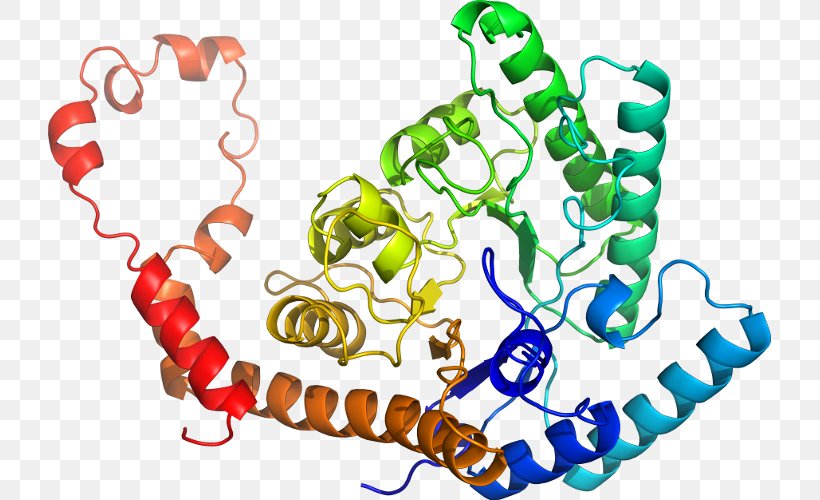Clip Art Ligand-gated Ion Channel Organism, PNG, 723x500px, Ligandgated Ion Channel, Body Jewellery, Body Jewelry, Human Body, Ion Download Free
