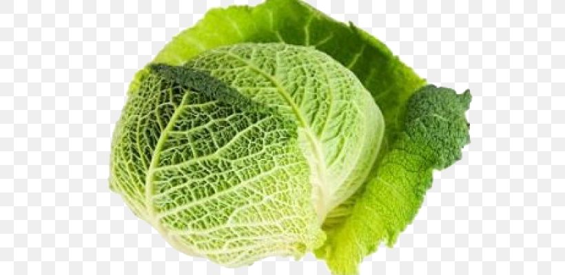 Savoy Cabbage Stuffing Vegetable Food, PNG, 640x400px, Savoy Cabbage, Cabbage, Cabbage Roll, Cauliflower, Cooking Download Free
