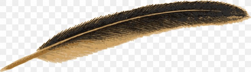 Bird Feather Mallard Pen Quill, PNG, 2400x692px, Bird, Bird Flight, Drawing, Feather, Fountain Pen Download Free