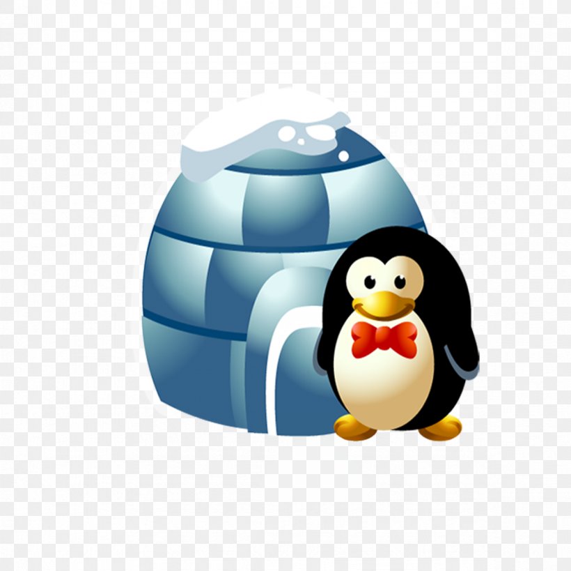 Penguin North Pole Cartoon Animation, PNG, 1181x1181px, Penguin, Animation,  Bird, Cartoon, Drawing Download Free