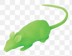 Glow In The Dark Contacts - Rat Reptile Fauna Amphibians Product Design PNG