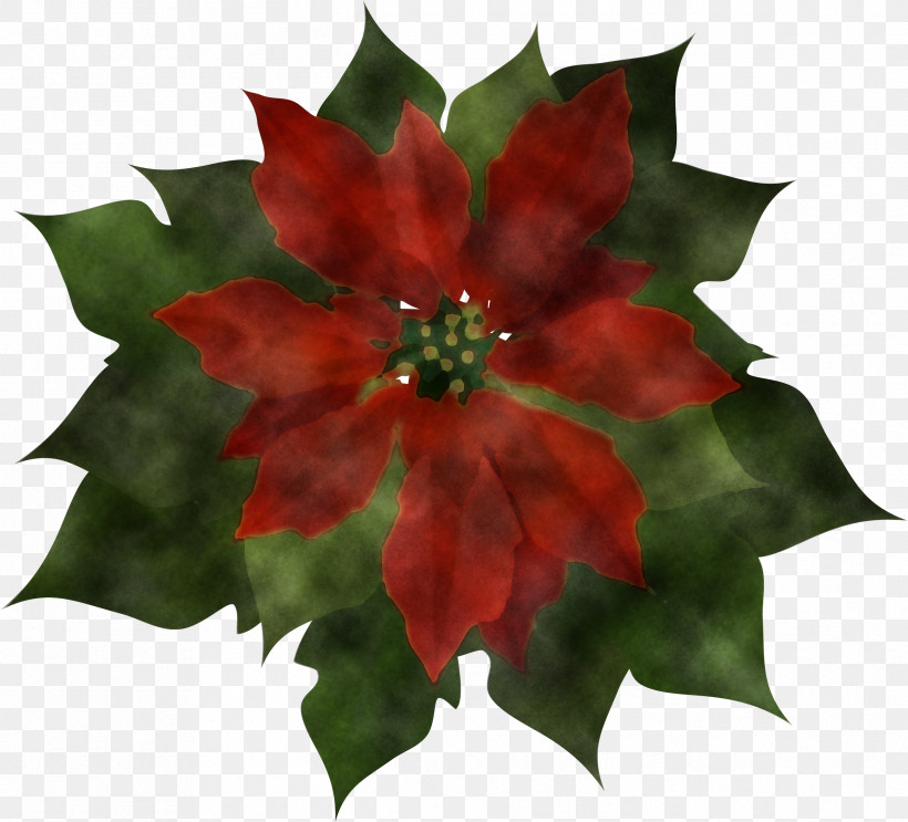 Christmas Decoration, PNG, 2382x2160px, Flower, Christmas Decoration, Christmas Ornament, Holly, Leaf Download Free
