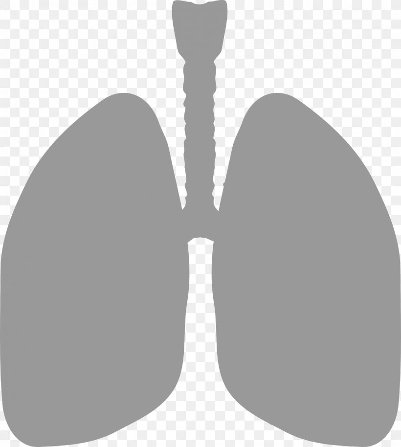 Lung Oxygen Therapy Breathing DLCO, PNG, 1721x1920px, Lung, Black And White, Breathing, Capillary, Diffusion Download Free
