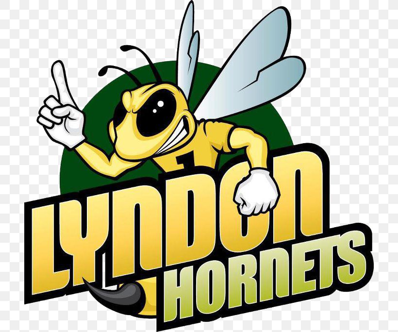 Lyndon State College Lyndon State Hornets Men's Basketball Connecticut College North Atlantic Conference Amherst, PNG, 720x684px, Connecticut College, Amherst, Area, Artwork, Basketball Coach Download Free