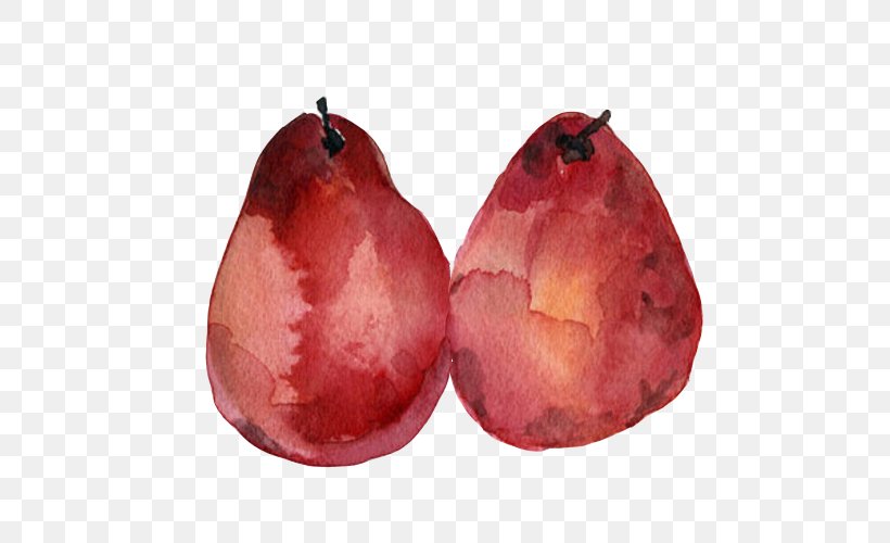 Pear Watercolor Painting Fruit, PNG, 500x500px, Pear, Apple, Auglis, Burgundy, Drawing Download Free