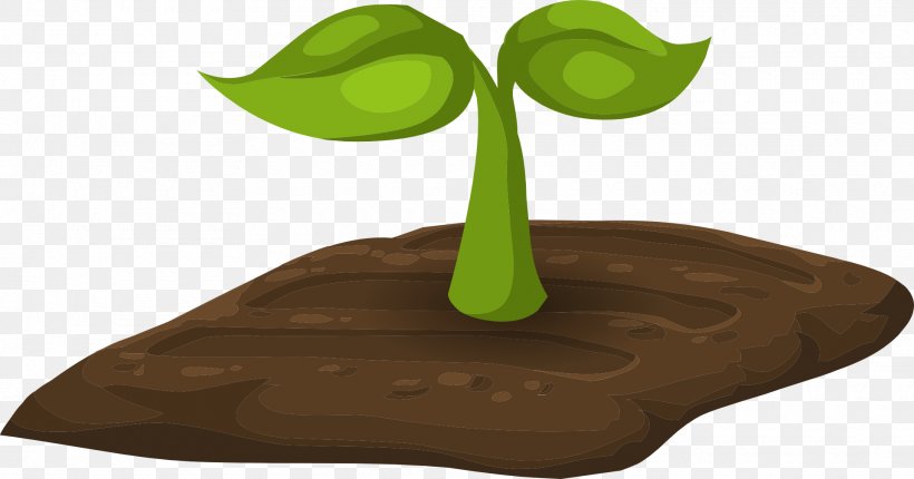 Soil Clip Art, PNG, 1920x1009px, Soil, Grass, Leaf, Plant, Royaltyfree Download Free