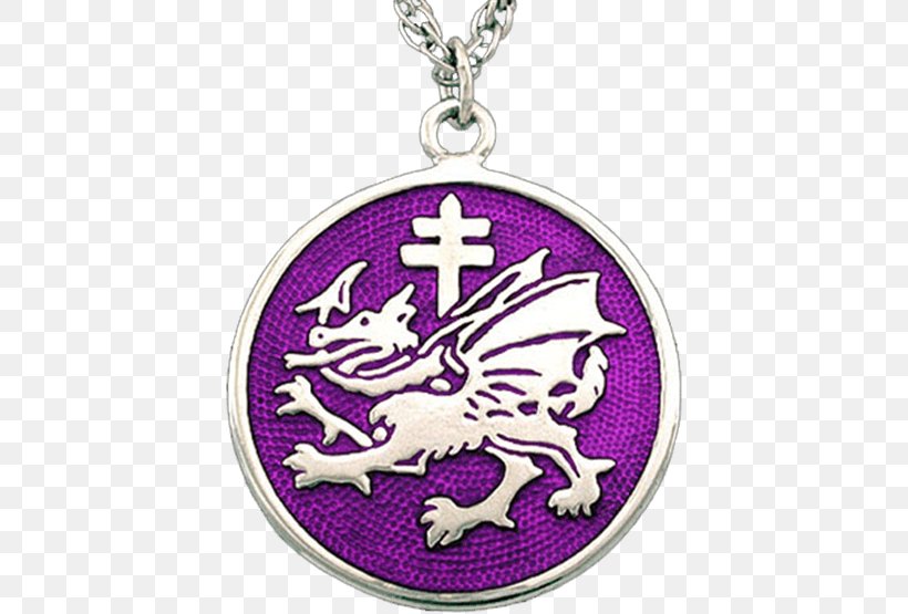 Dracula Order Of The Dragon Symbol Charms & Pendants, PNG, 555x555px, Dracula, Body Jewelry, Charms Pendants, Coat Of Arms, Dragon Download Free