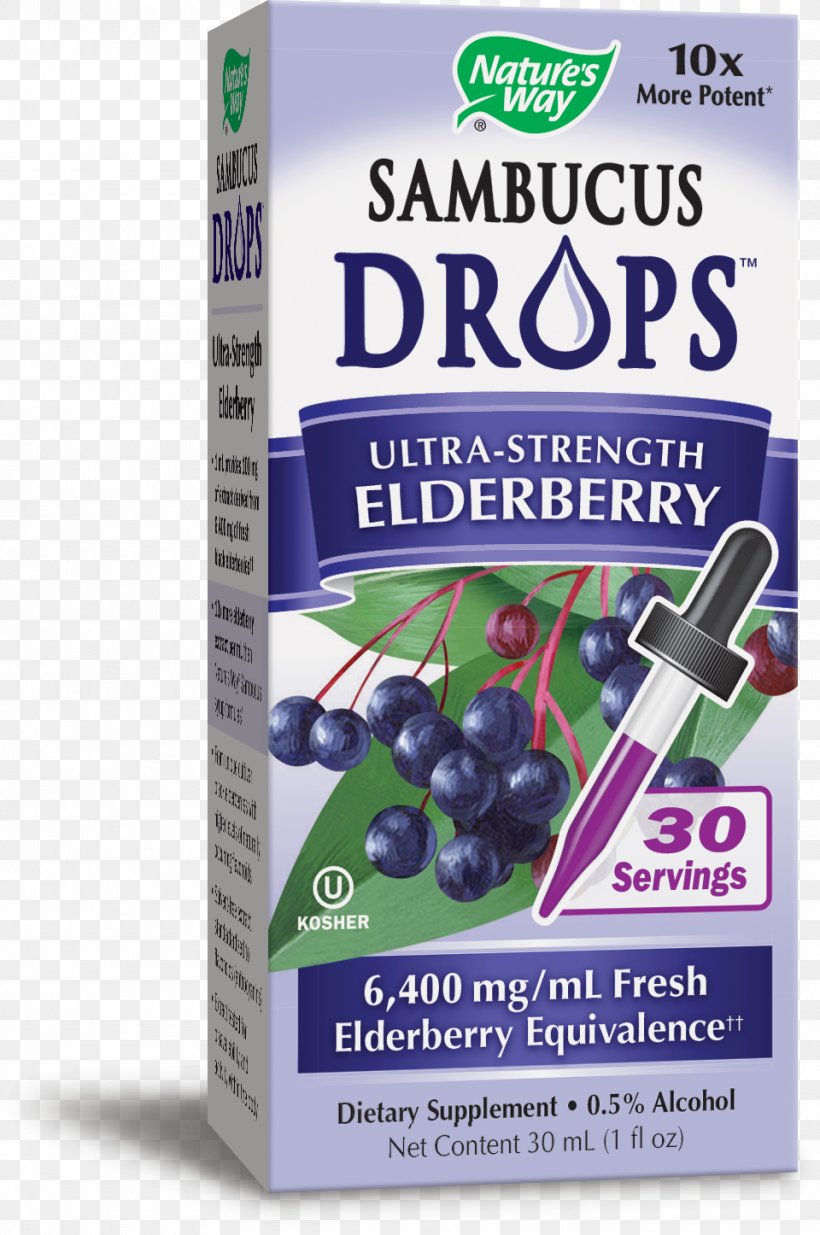 Drop Fluid Ounce Elderberry Dietary Supplement, PNG, 960x1446px, Drop, Dietary Supplement, Elderberry, Fluid Ounce, Fruit Download Free