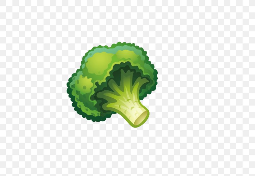 Vegetable Fruit Child Cauliflower Broccoli, PNG, 567x567px, Vegetable, Berry, Brassica Oleracea, Broccoli, Cauliflower Download Free