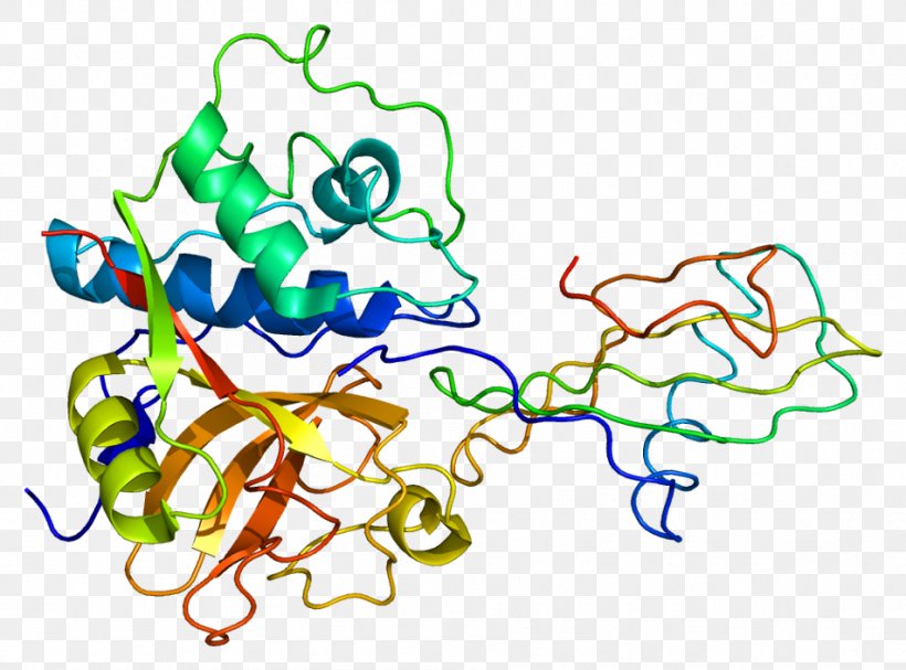 Cystatin B Cathepsin B Protein Papain, PNG, 951x705px, Watercolor, Cartoon, Flower, Frame, Heart Download Free