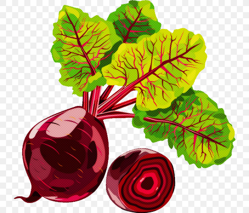 Leaf Beetroot Plant Flower Vegetable, PNG, 730x700px, Leaf, Beetroot, Flower, Geranium, Herbaceous Plant Download Free