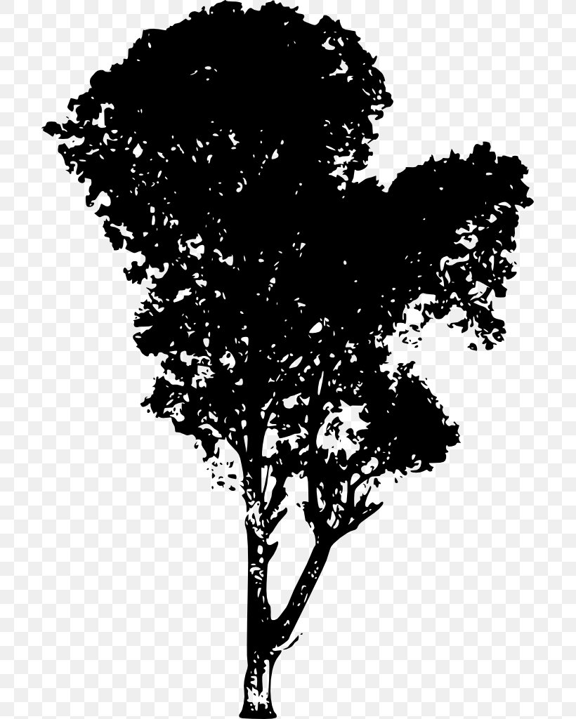 Tree Silhouette Branch Desktop Wallpaper, PNG, 701x1024px, Tree, Black And White, Branch, Flora, Flower Download Free