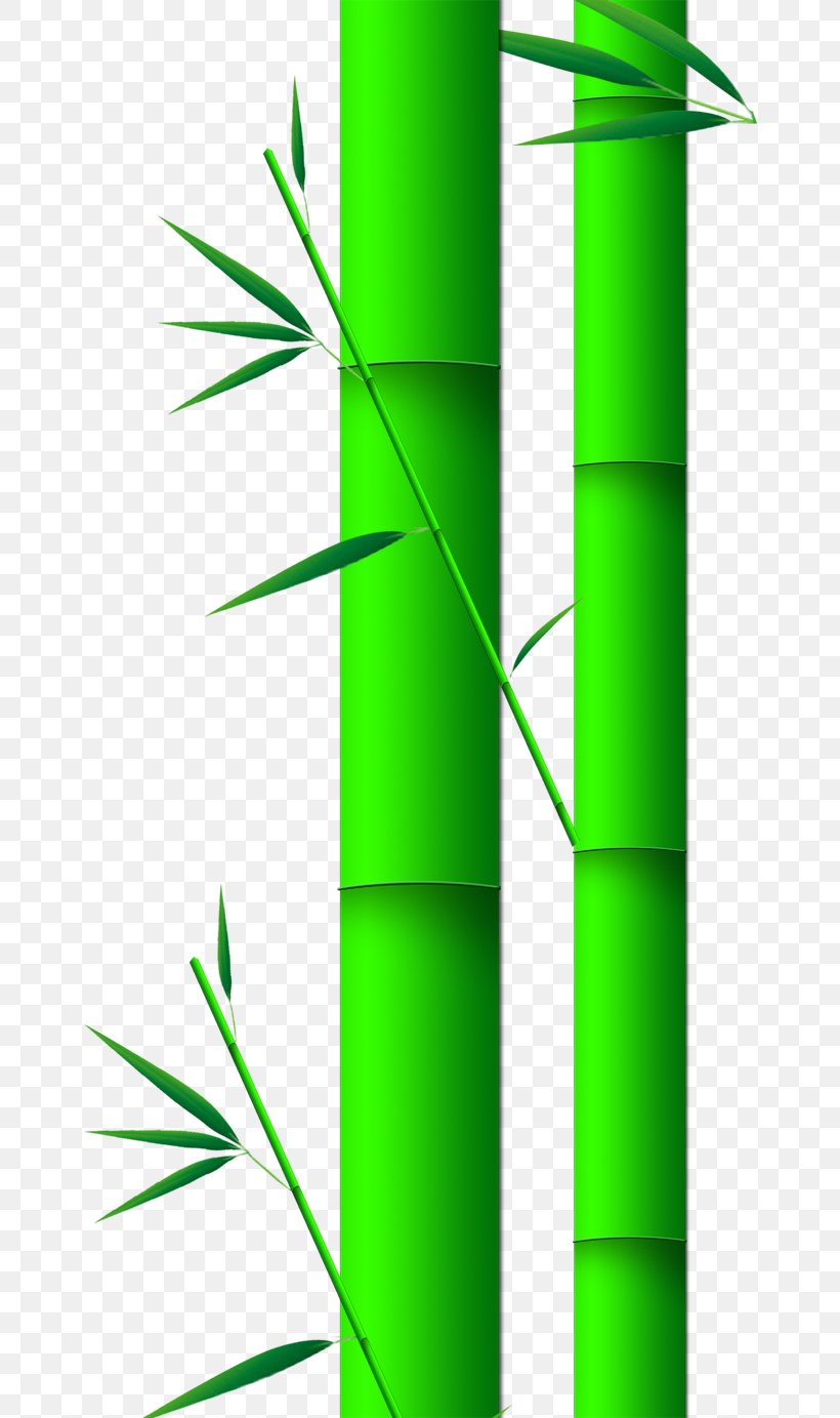 Bamboo Euclidean Vector Leaf, PNG, 658x1383px, Bamboo, Bamboe, Energy, Grass, Grass Family Download Free