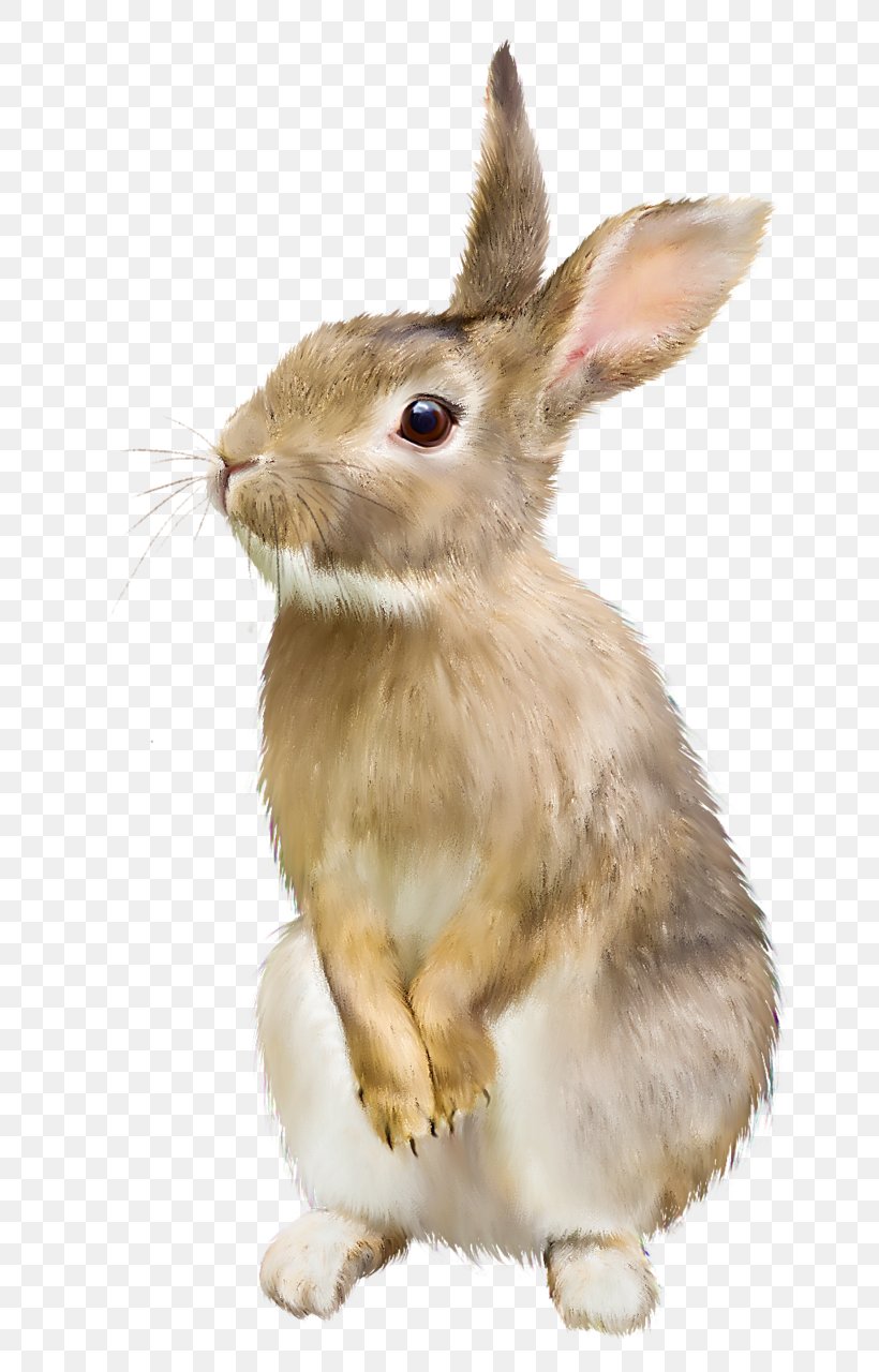 Easter Bunny Hare Domestic Rabbit, PNG, 762x1280px, Easter Bunny, Domestic Rabbit, Fauna, Fur, Hare Download Free