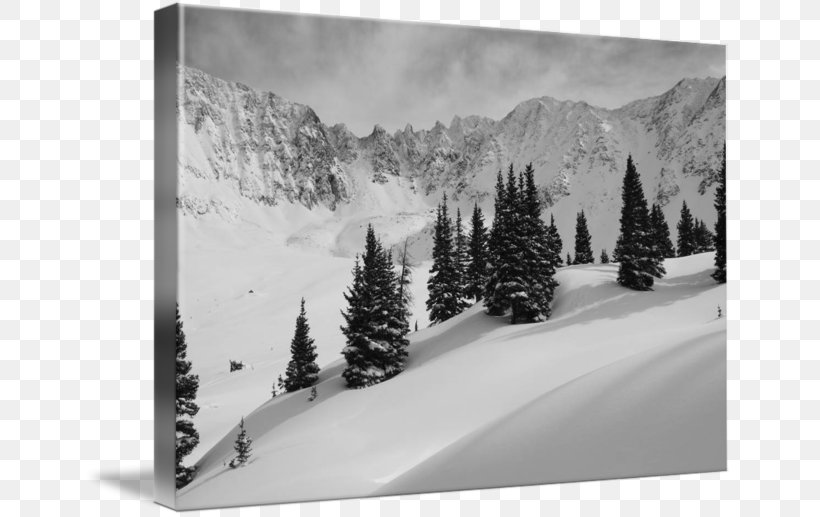 Glacial Landform Mountain Photography Glacier Ski, PNG, 650x517px, Glacial Landform, Black And White, Conifer, Fir, Freezing Download Free