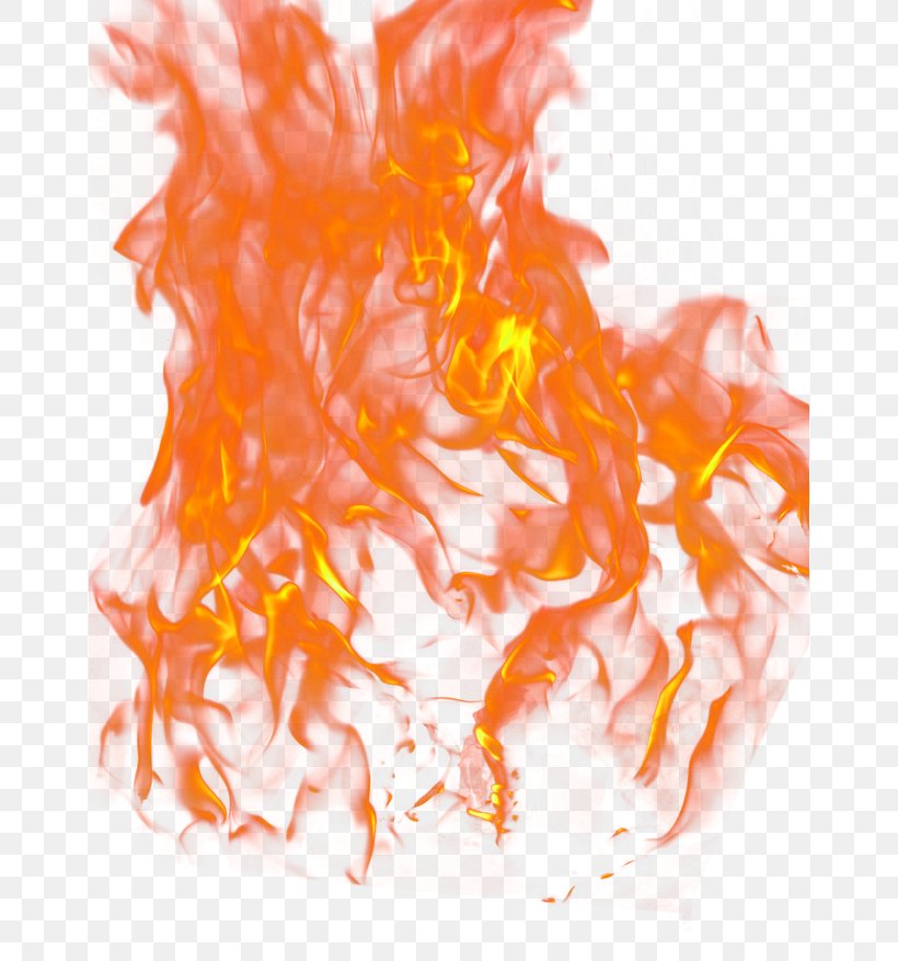 Light Flame Fire Png 658x877px Watercolor Cartoon Flower