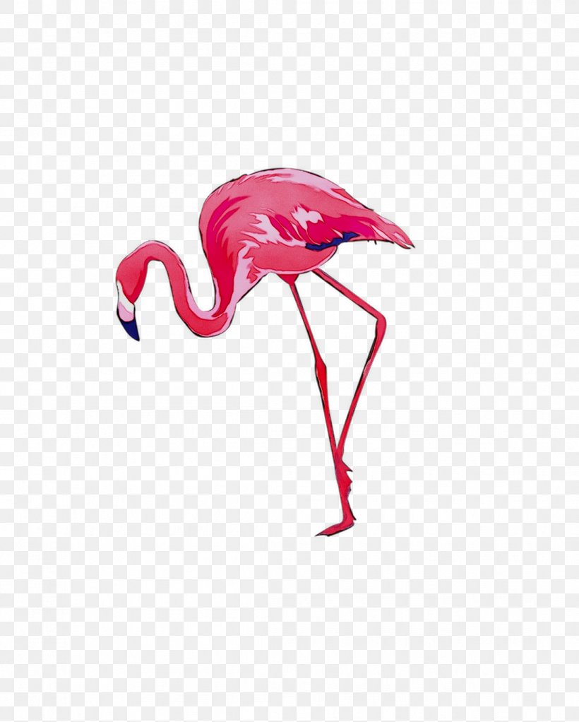 Bird Greater Flamingo Vector Graphics Stock Photography Drawing, PNG, 1097x1368px, Bird, Cartoon, Depositphotos, Drawing, Flamingo Download Free